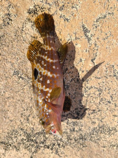 なかなか厳しい