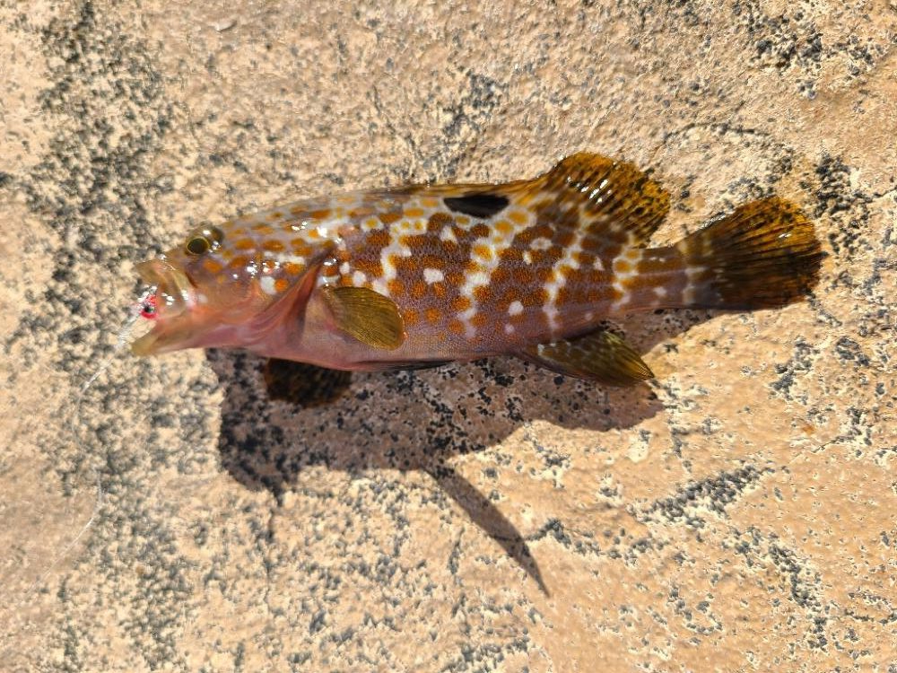 なかなか厳しい