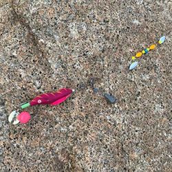 4回目チャレンジでようやくタコゲット