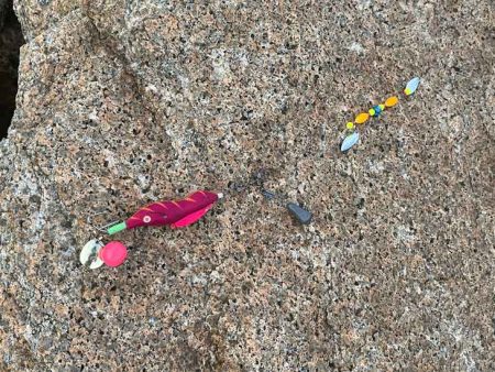 4回目チャレンジでようやくタコゲット