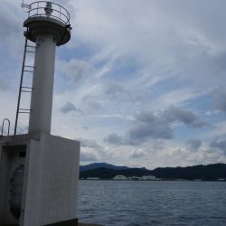 日中はベラ多し