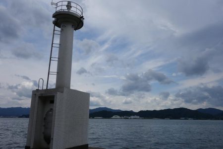 日中はベラ多し