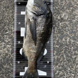 イチノ兄弟、釣果!