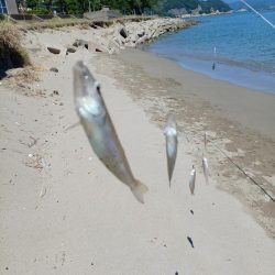 最後に帳尻合わせ