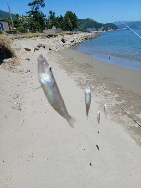 最後に帳尻合わせ