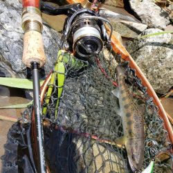 増水期待したけど、、、