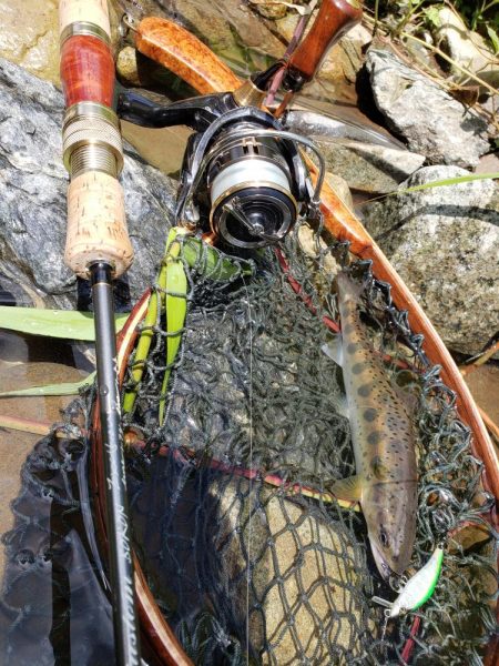 増水期待したけど、、、