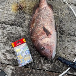 初めてのクエGET!