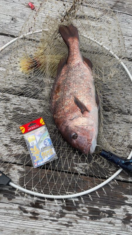 初めてのクエGET!