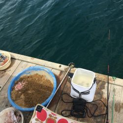 たかたかの釣り日記