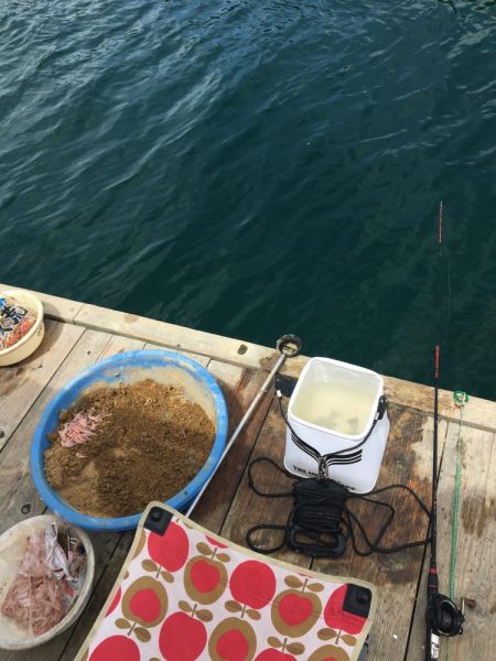 たかたかの釣り日記