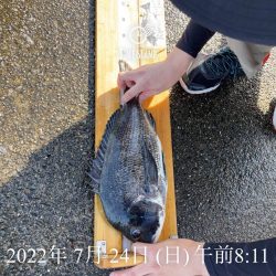 尼P オーランド大会