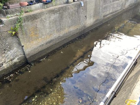 兵庫県の離島のドブ川ででまさかの60オーバーのウナギがとれた！