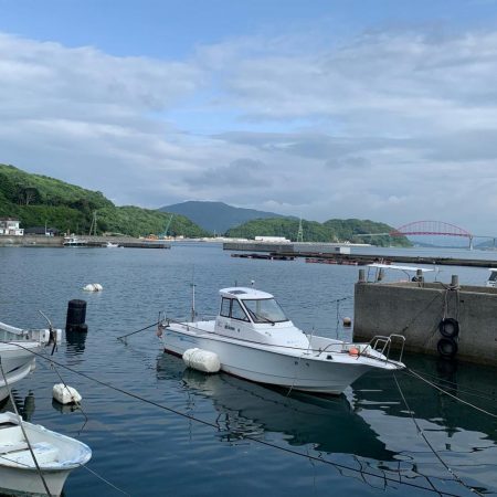 でかっ♪ガシラ