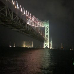 大サバ、夏タチ