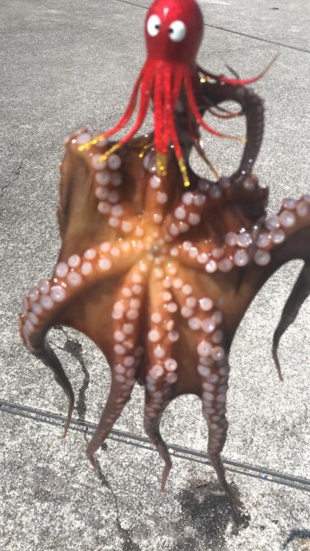シーサイドでタコ釣り