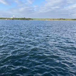 やっぱり阪神高速舞洲サバ線か！