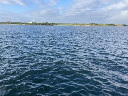 やっぱり阪神高速舞洲サバ線か！