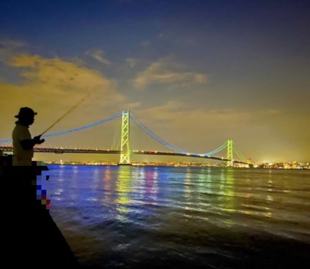 今年はアジが少なくないですか？