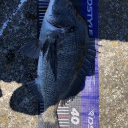 姫路大爆釣‼️