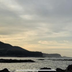 3年ぶりに釣りに行きました