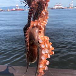 待望のキロアップ!