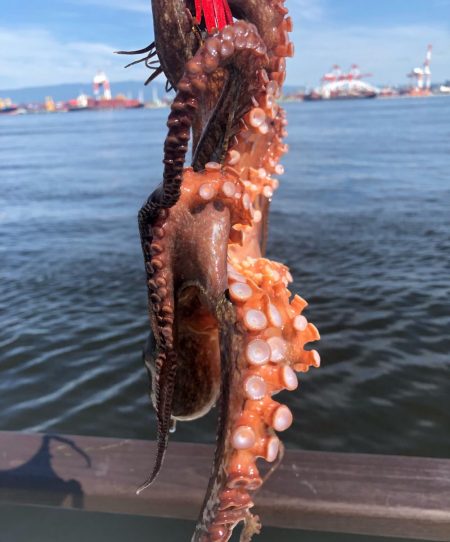 待望のキロアップ！