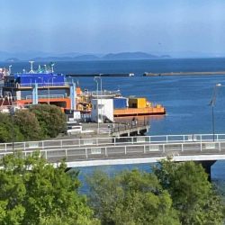 おくとぱっしんぐ