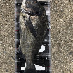 イチノ兄弟、釣果！