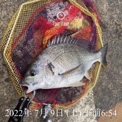 南港ヘチ釣り