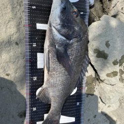 姫路65匹‼️大爆釣!