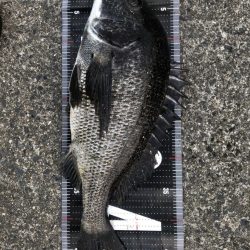 2日連続60枚越え‼️