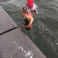 長潮のシーサイド