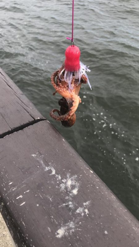 長潮のシーサイド