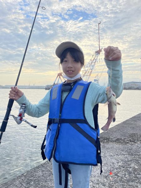 さかなちゃん釣り日記 本荘人工島