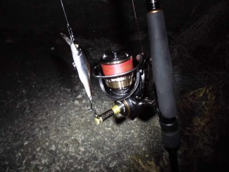 ボイル打ちは不要?