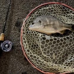 半夜で落とし込み