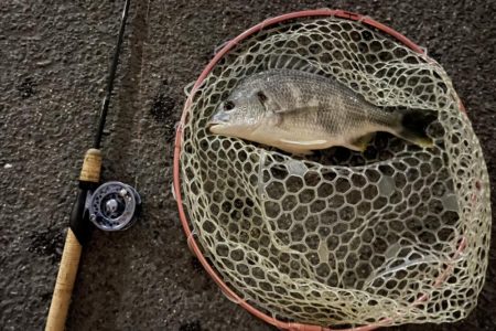 半夜で落とし込み