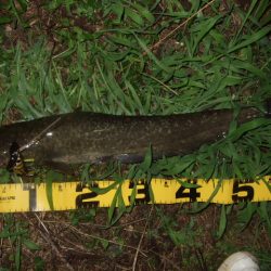 久々のポイントをランガン