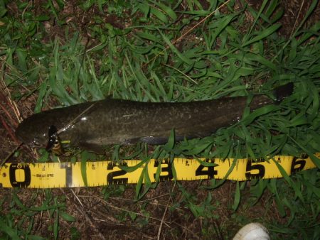 久々のポイントをランガン