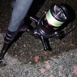 初キロアップ！