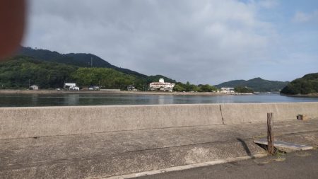 塩焼きサイズのキビレ