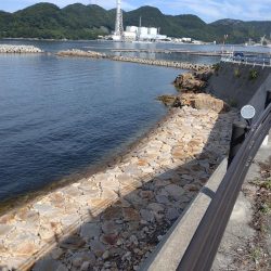 のんびりライトゲーム