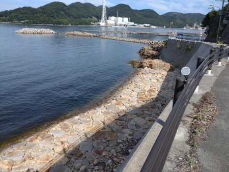 のんびりライトゲーム