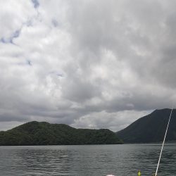 サゴシきたぁ～