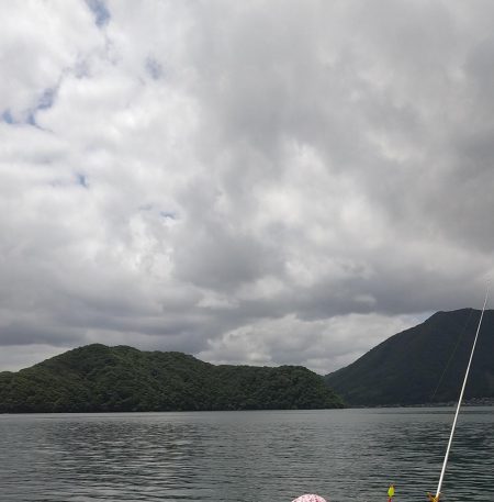 サゴシきたぁ～