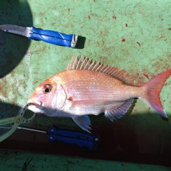 7月最後のタイラバ