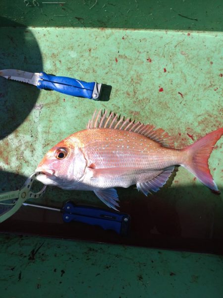7月最後のタイラバ