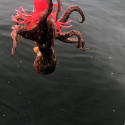 曇り空のシーサイド