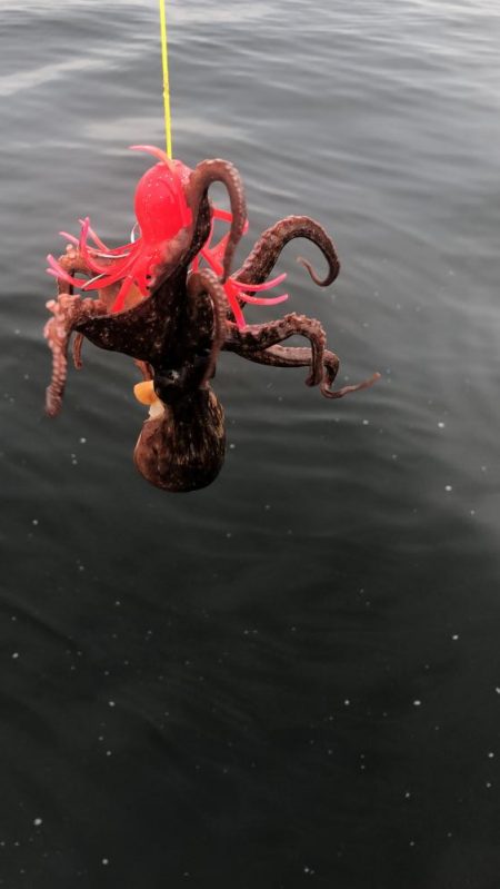 曇り空のシーサイド